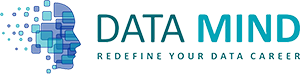Datamind-logo@2x